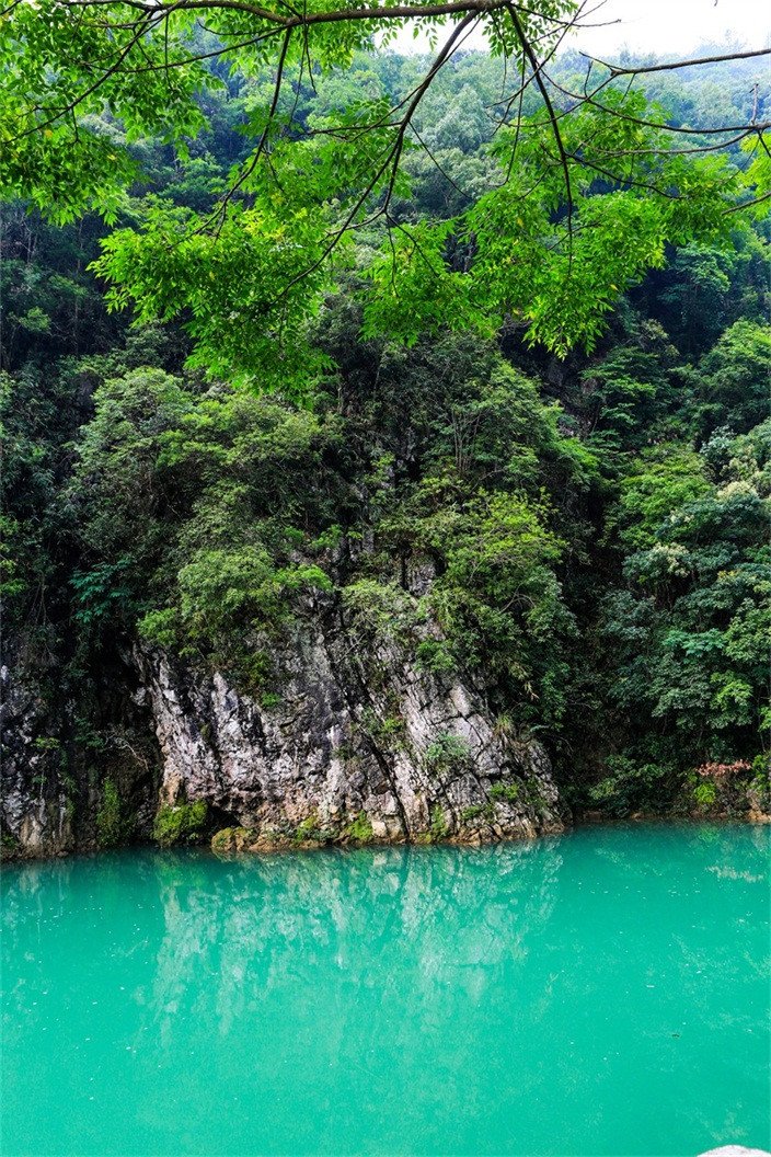 3D Mountain Lake 416 Stair Risers Wallpaper AJ Wallpaper