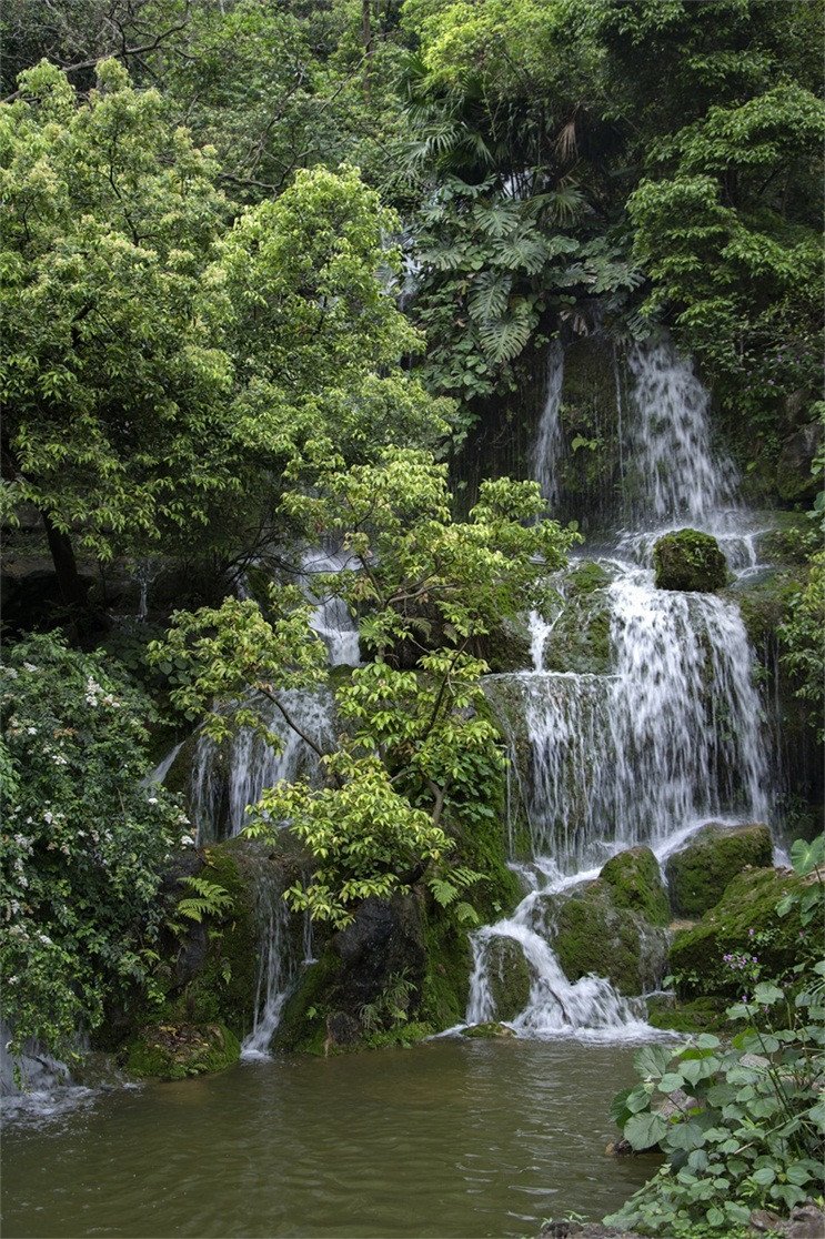 3D Forest Hidden Stream 100 Stair Risers Wallpaper AJ Wallpaper