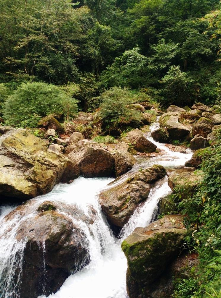 3D Stony Stream 101 Stair Risers Wallpaper AJ Wallpaper