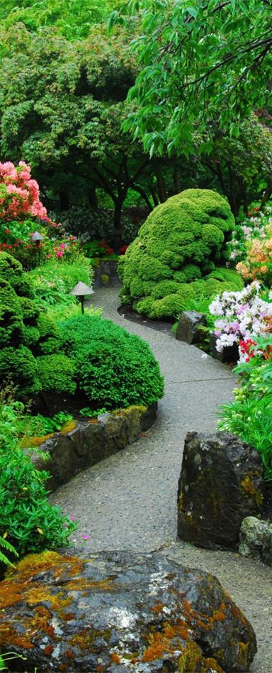 3D cozy green tree view door mural Wallpaper AJ Wallpaper