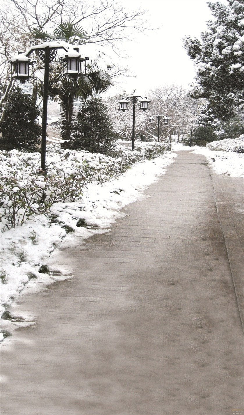 3D snow on the trees the snow door mural Wallpaper AJ Wallpaper