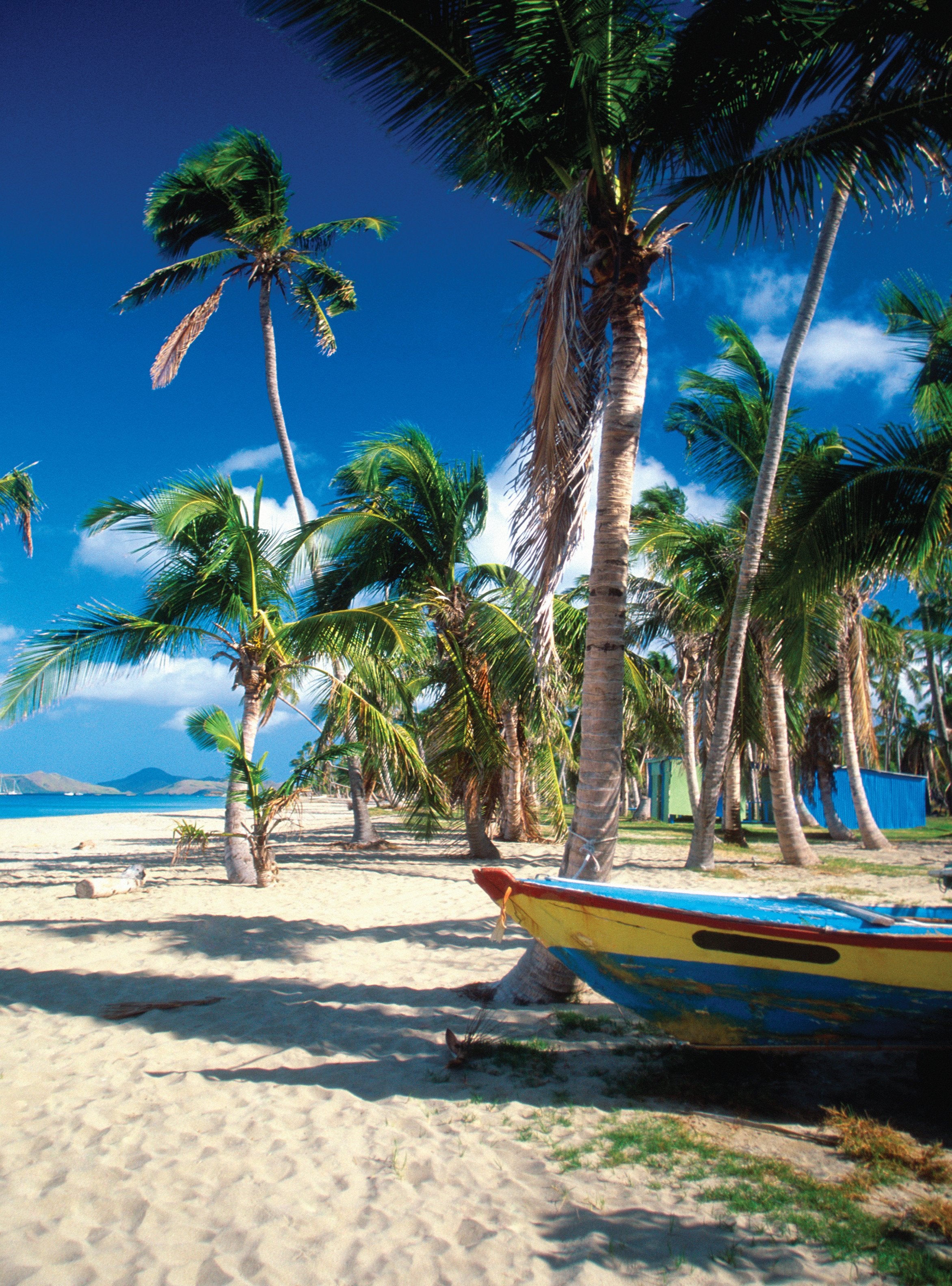 3D Beach Coconut Trees 1166 Stair Risers Wallpaper AJ Wallpaper