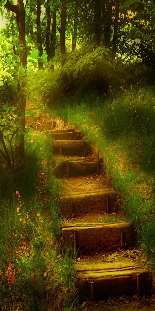 3D grass steps under the setting sun door mural Wallpaper AJ Wallpaper