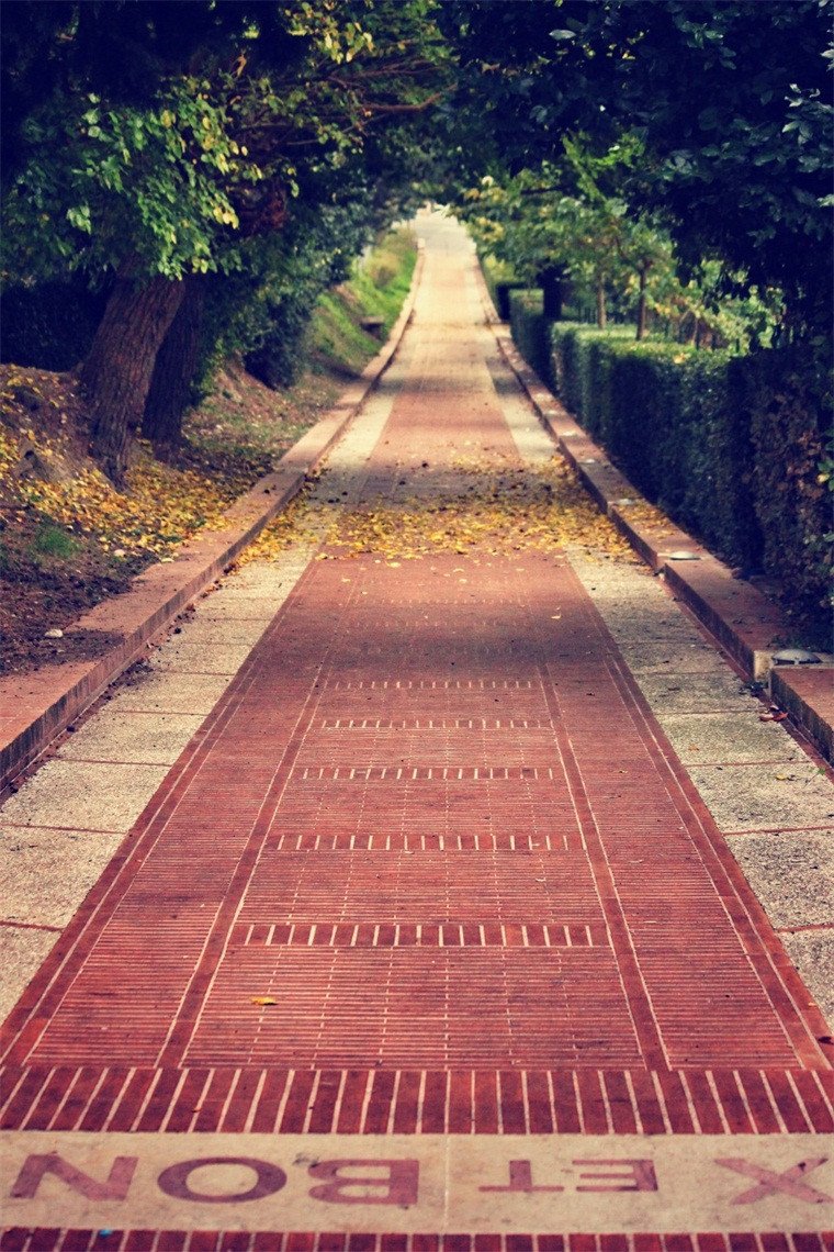 3D carpet green trees painting door mural Wallpaper AJ Wallpaper