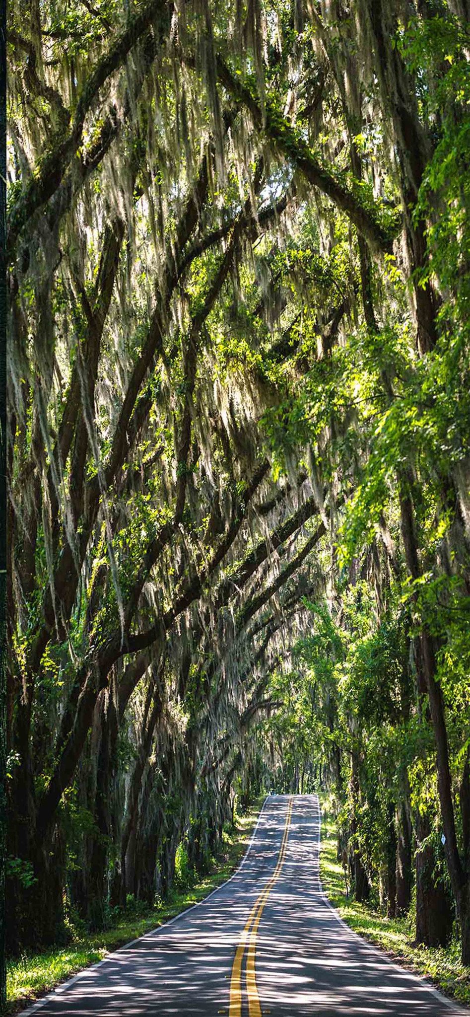 3D Road Trees Shade Door Mural Wallpaper AJ Wallpaper