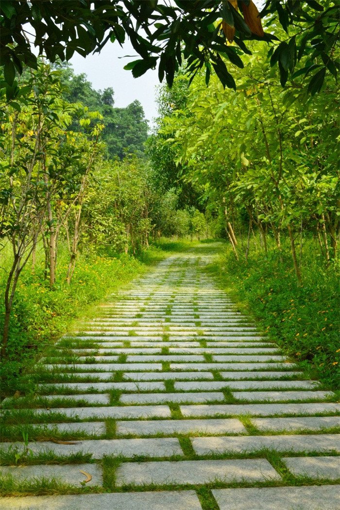 3D leaf stone road door mural Wallpaper AJ Wallpaper