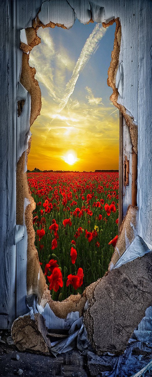 3D flowers outside the wall door mural Wallpaper AJ Wallpaper