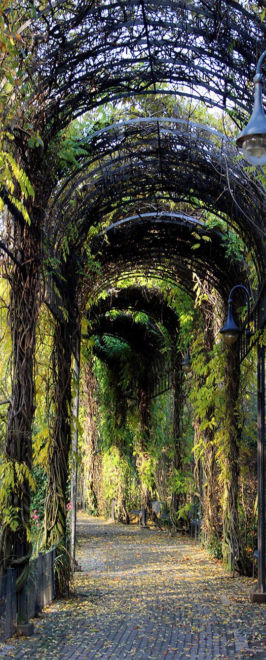 3D green covered arch corridor door mural Wallpaper AJ Wallpaper