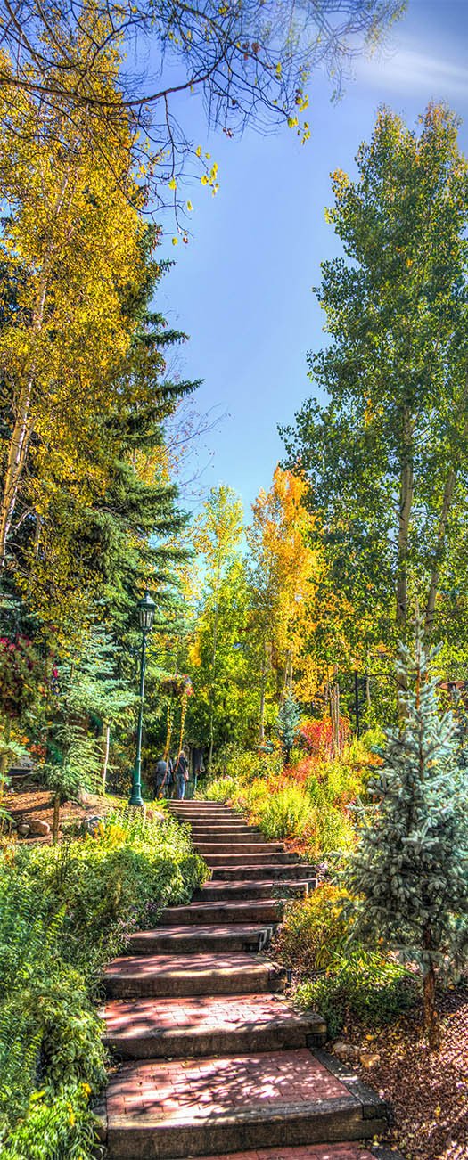 3D stone steps and green oil paintings door mural Wallpaper AJ Wallpaper