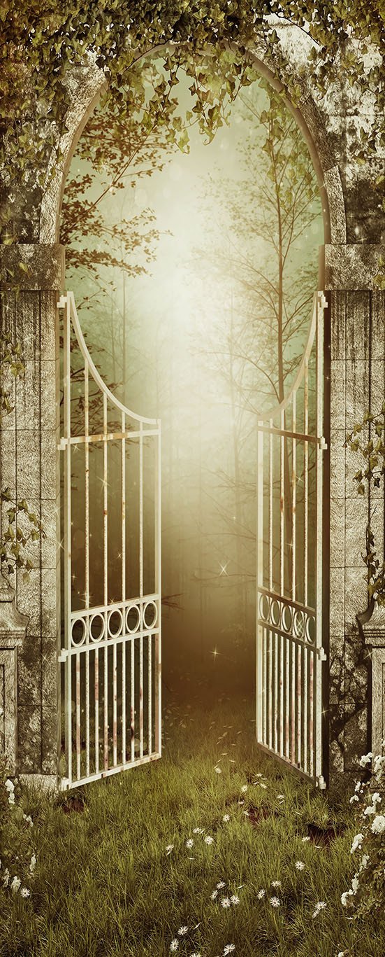 3D iron gate sunshine the green grass door mural Wallpaper AJ Wallpaper