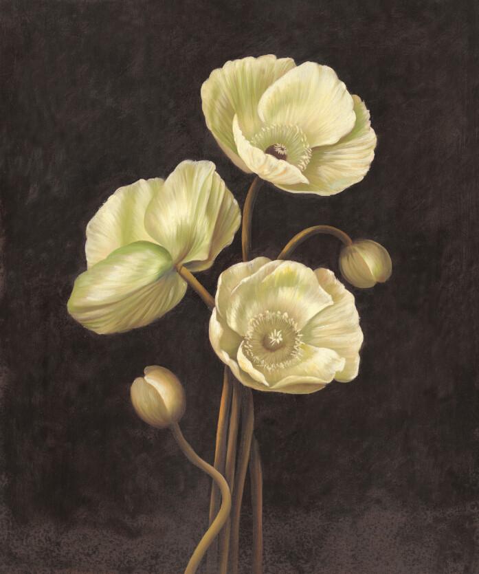 Light Green Flowers Wallpaper AJ Wallpaper