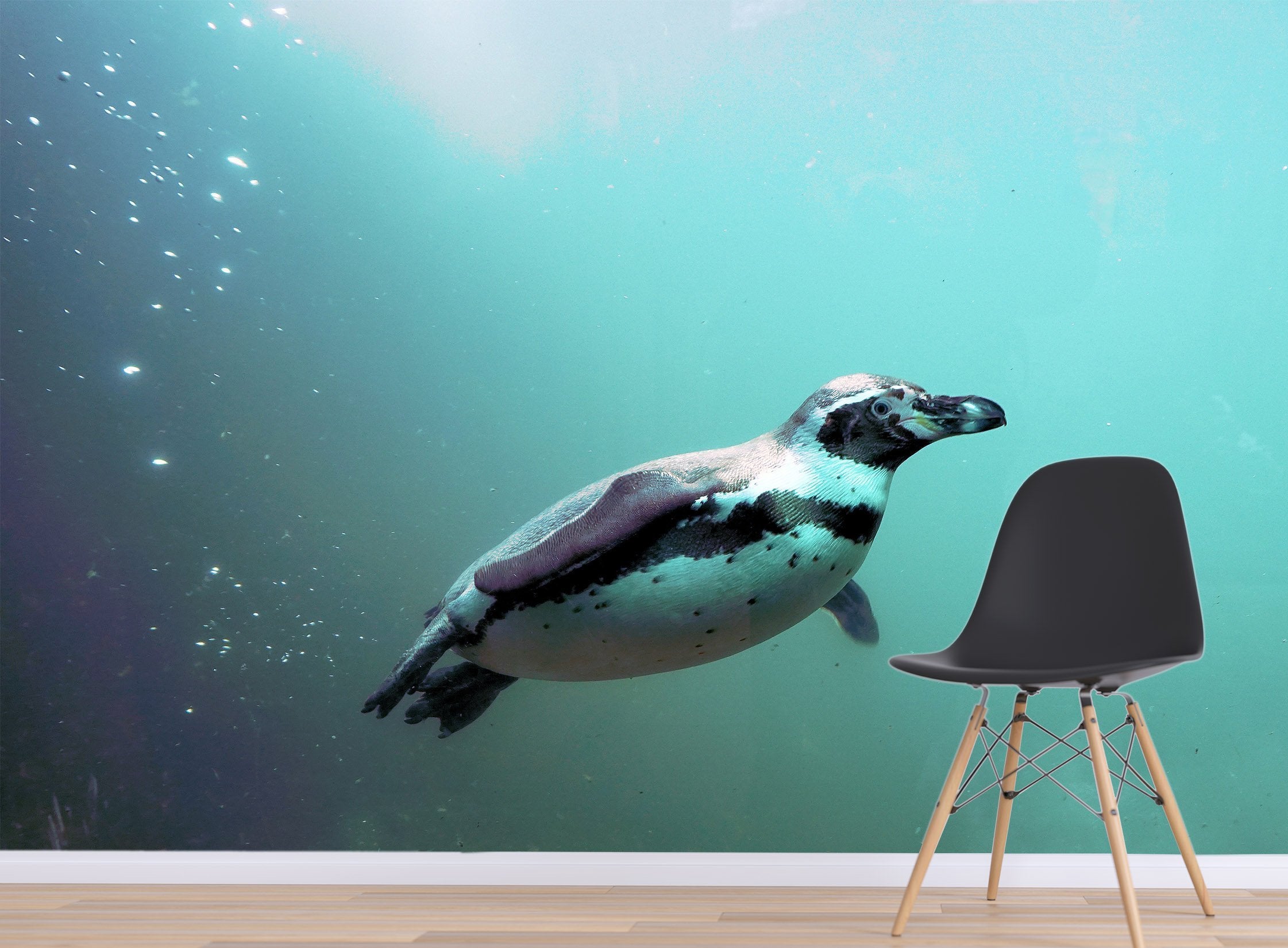 3D Swimming Seal 220 Wallpaper AJ Wallpaper