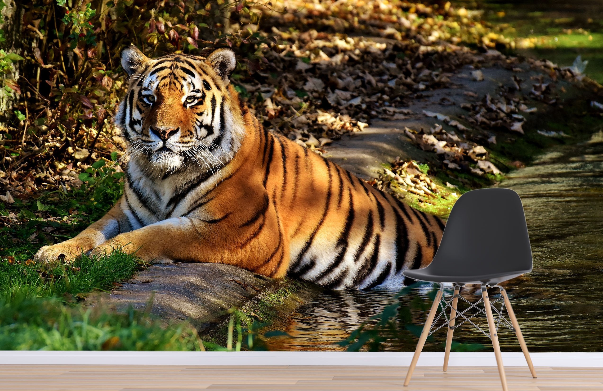 3D King Of The Forest 243 Wallpaper AJ Wallpaper