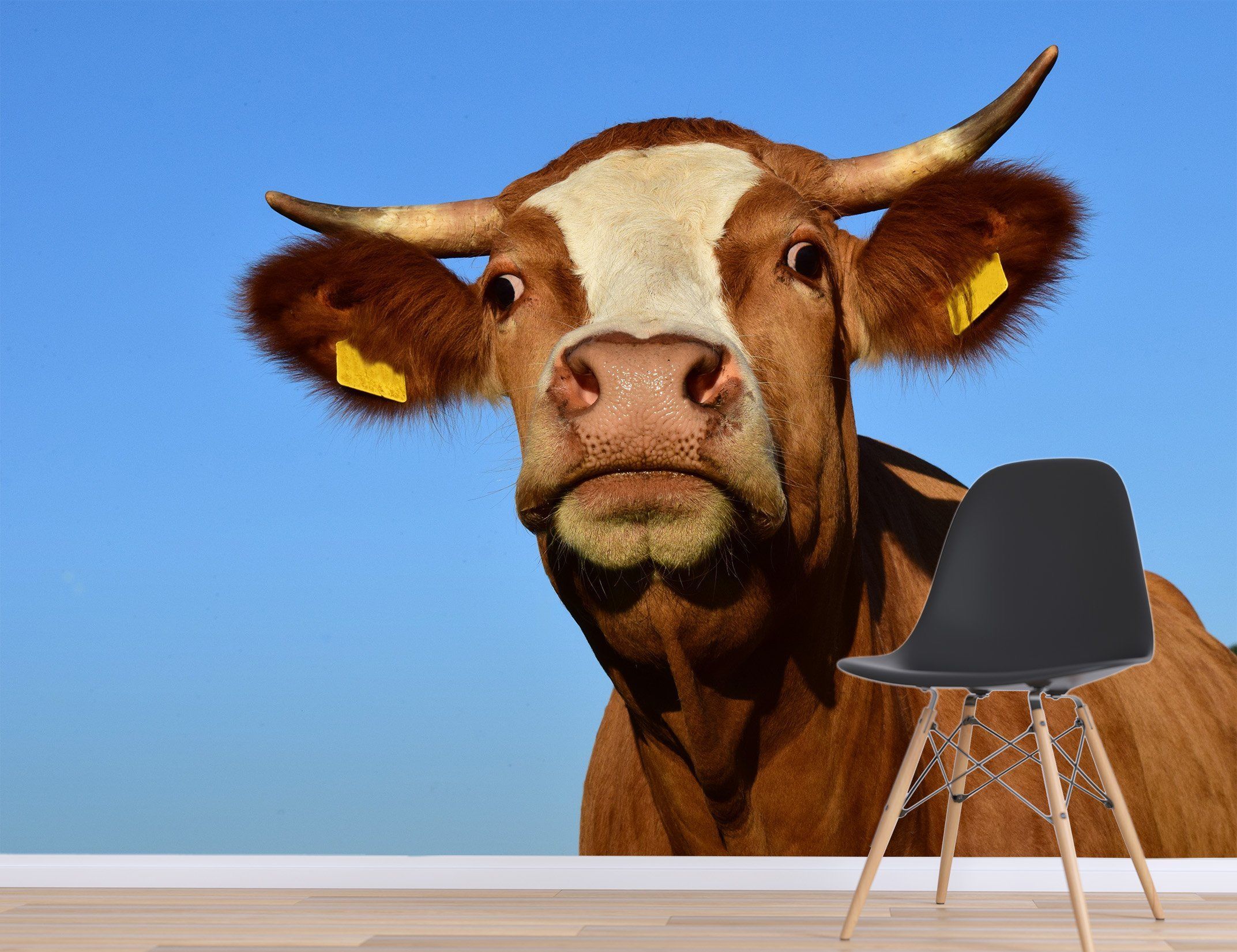 3D Blue Sky Ox 130 Wallpaper AJ Wallpaper