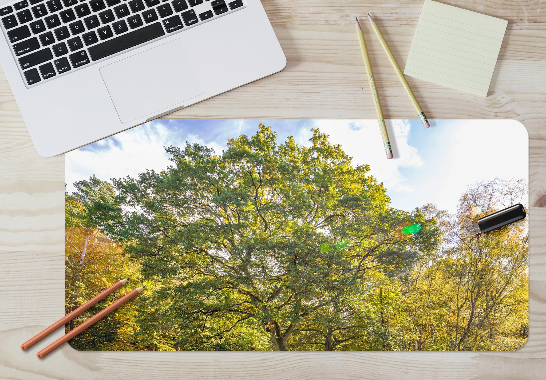 3D Trees 12415 Assaf Frank Desk Mat