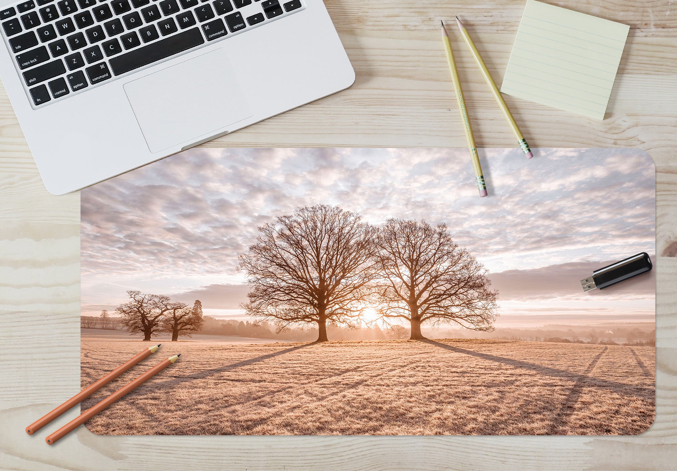 3D Sunset Tree Shadow Lawn 12457 Assaf Frank Desk Mat