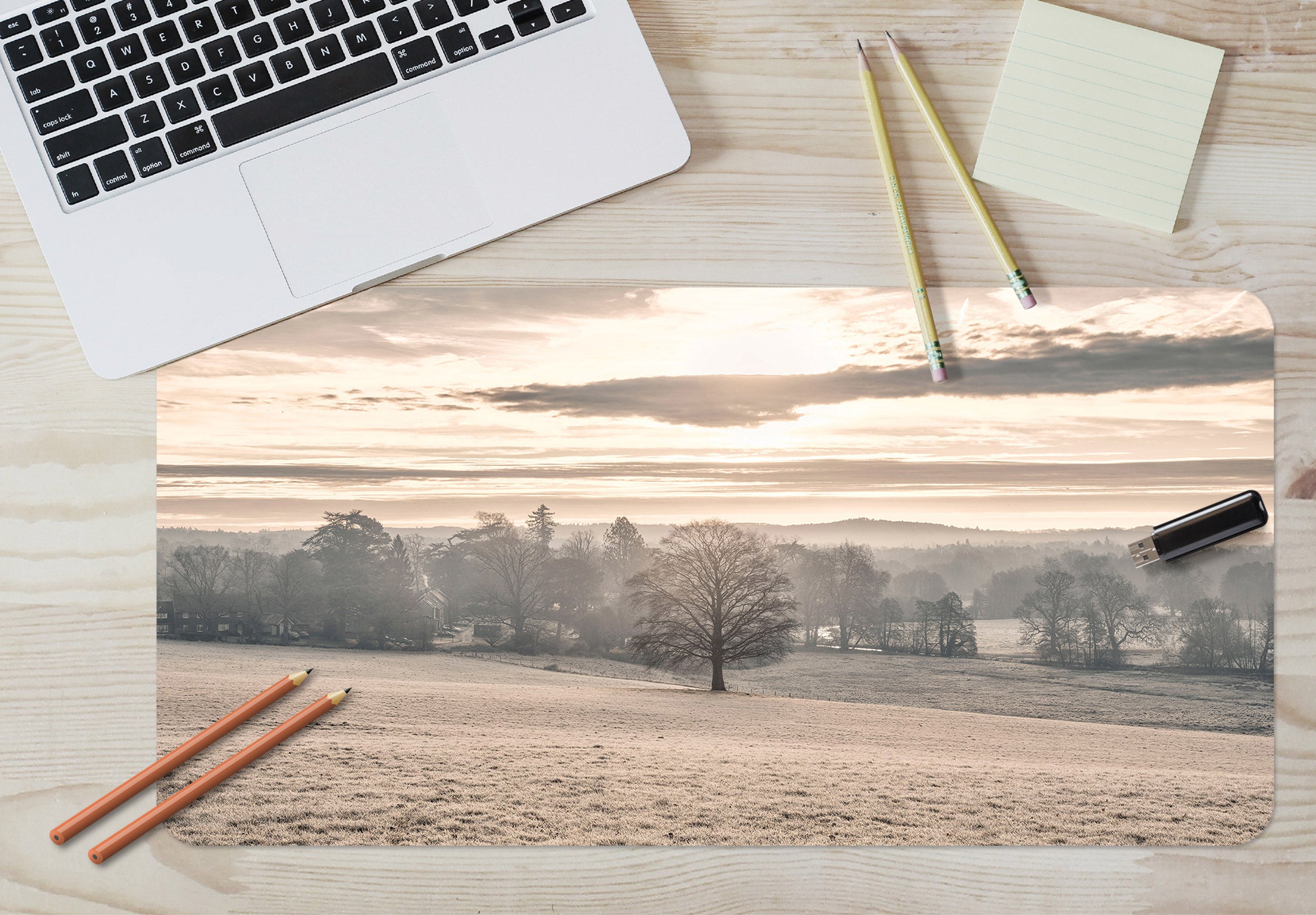 3D Hillside Trees 12461 Assaf Frank Desk Mat