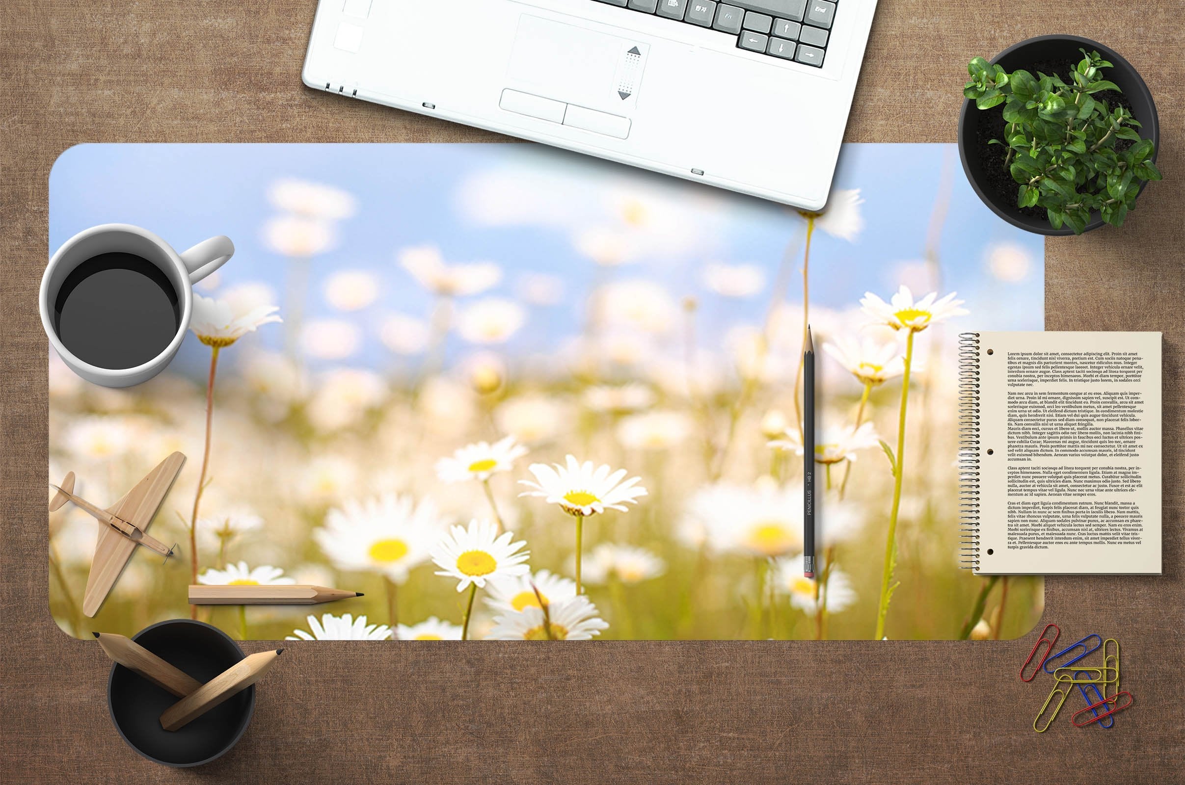 3D White Daisy 008 Desk Mat Mat AJ Creativity Home