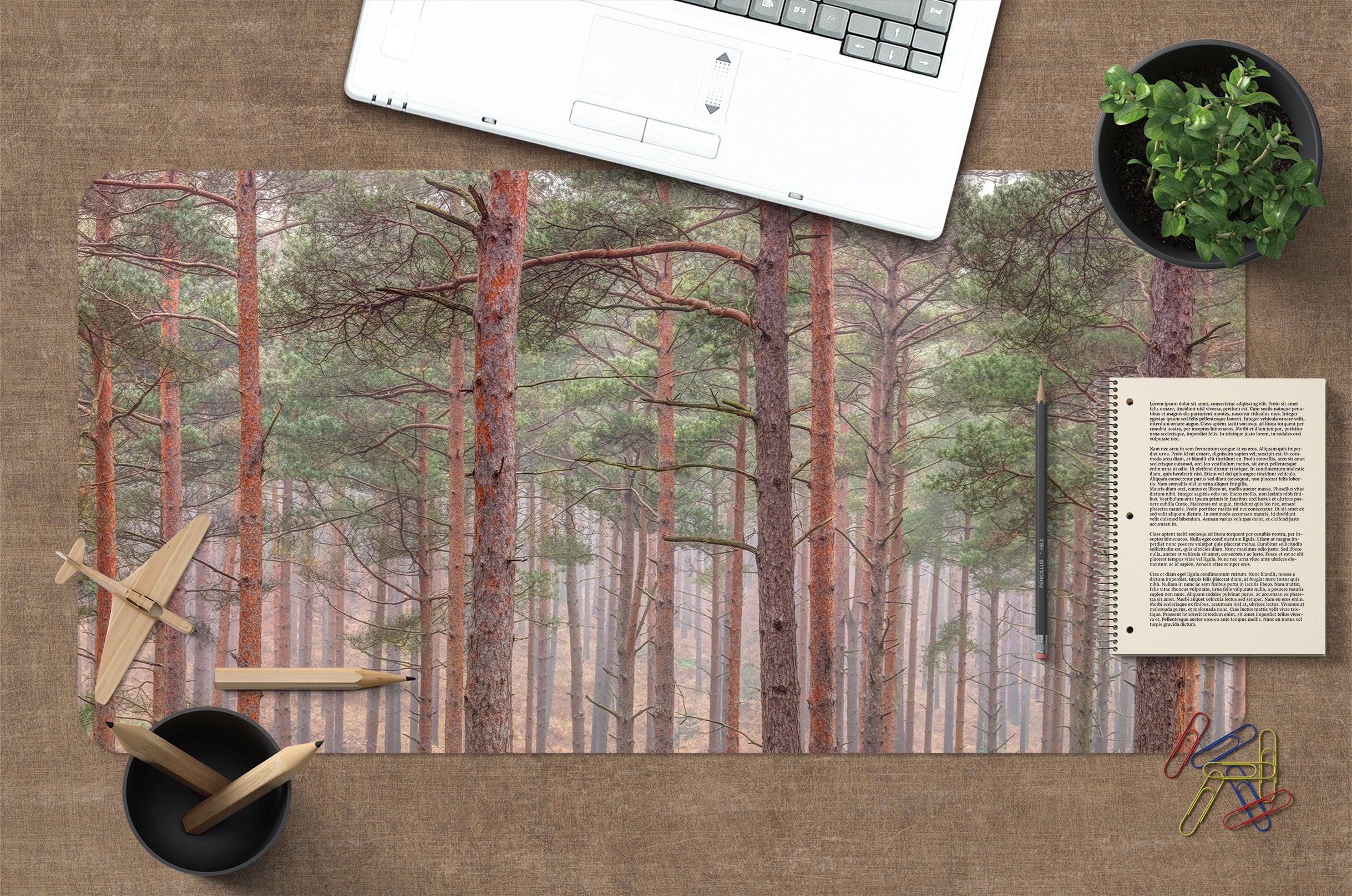 3D Green Trees 7753 Assaf Frank Desk Mat
