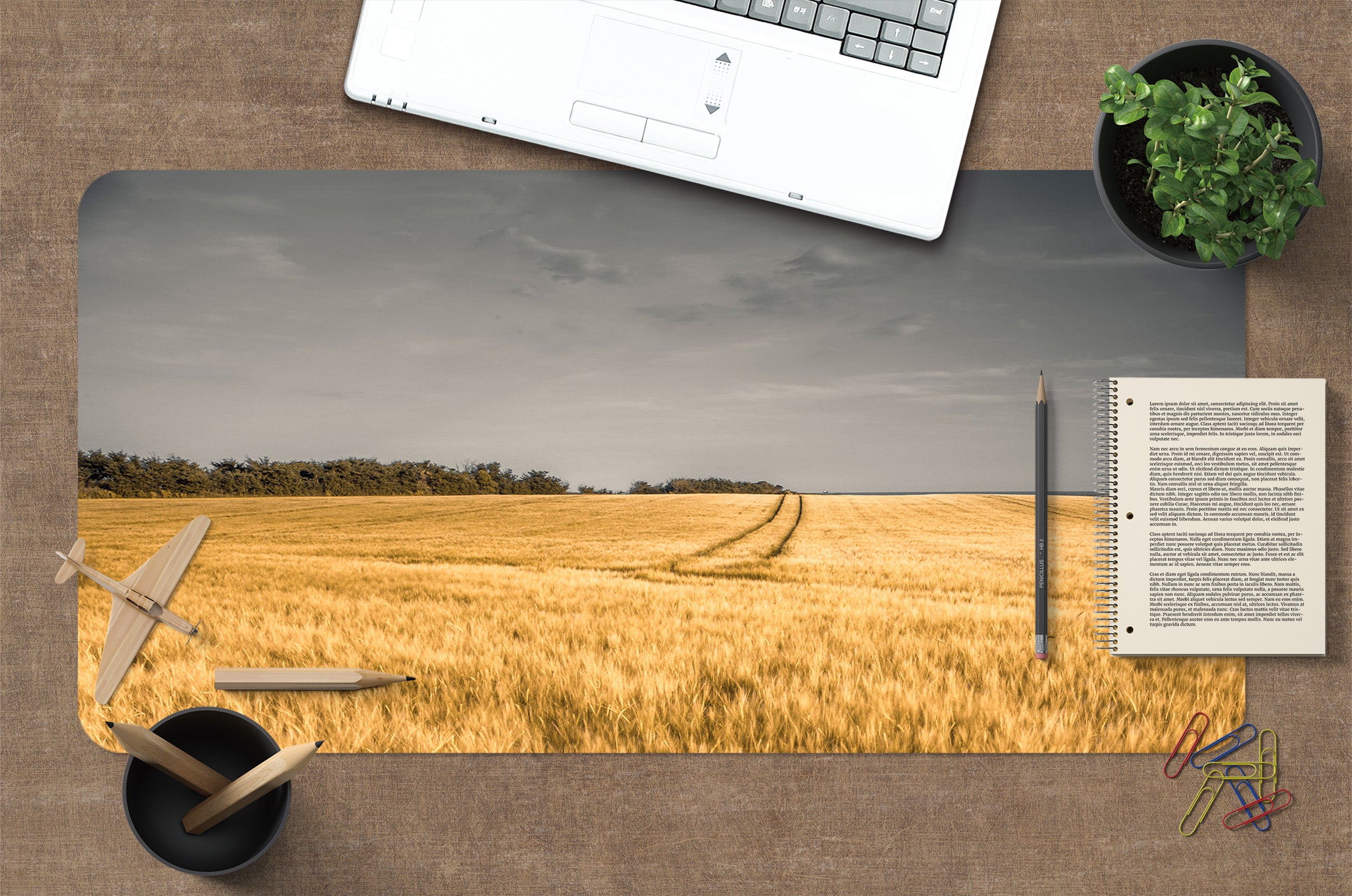 3D Wheat Field 7703 Assaf Frank Desk Mat