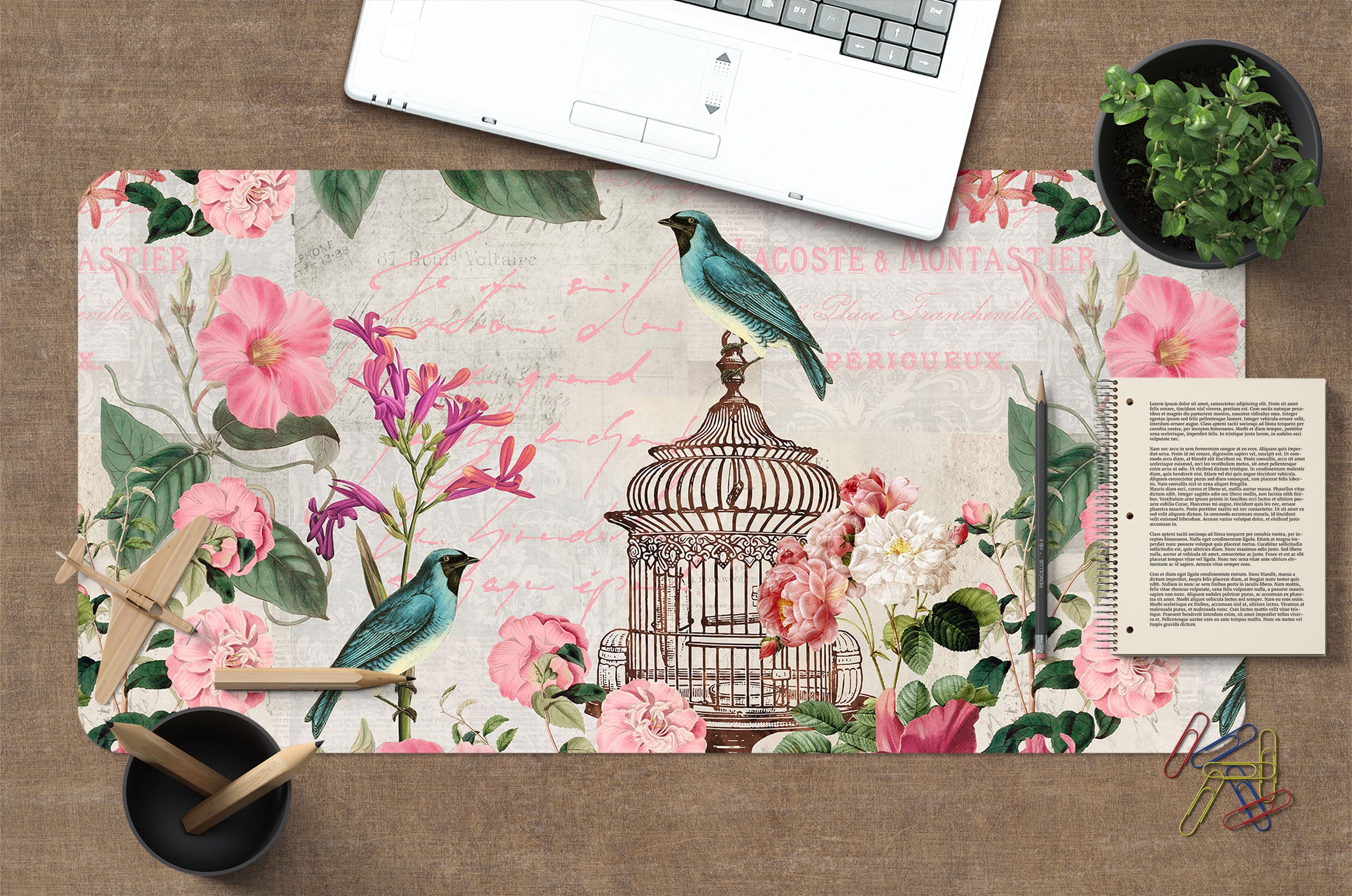 3D Blue Bird Cage 982 Andrea Haase Desk Mat