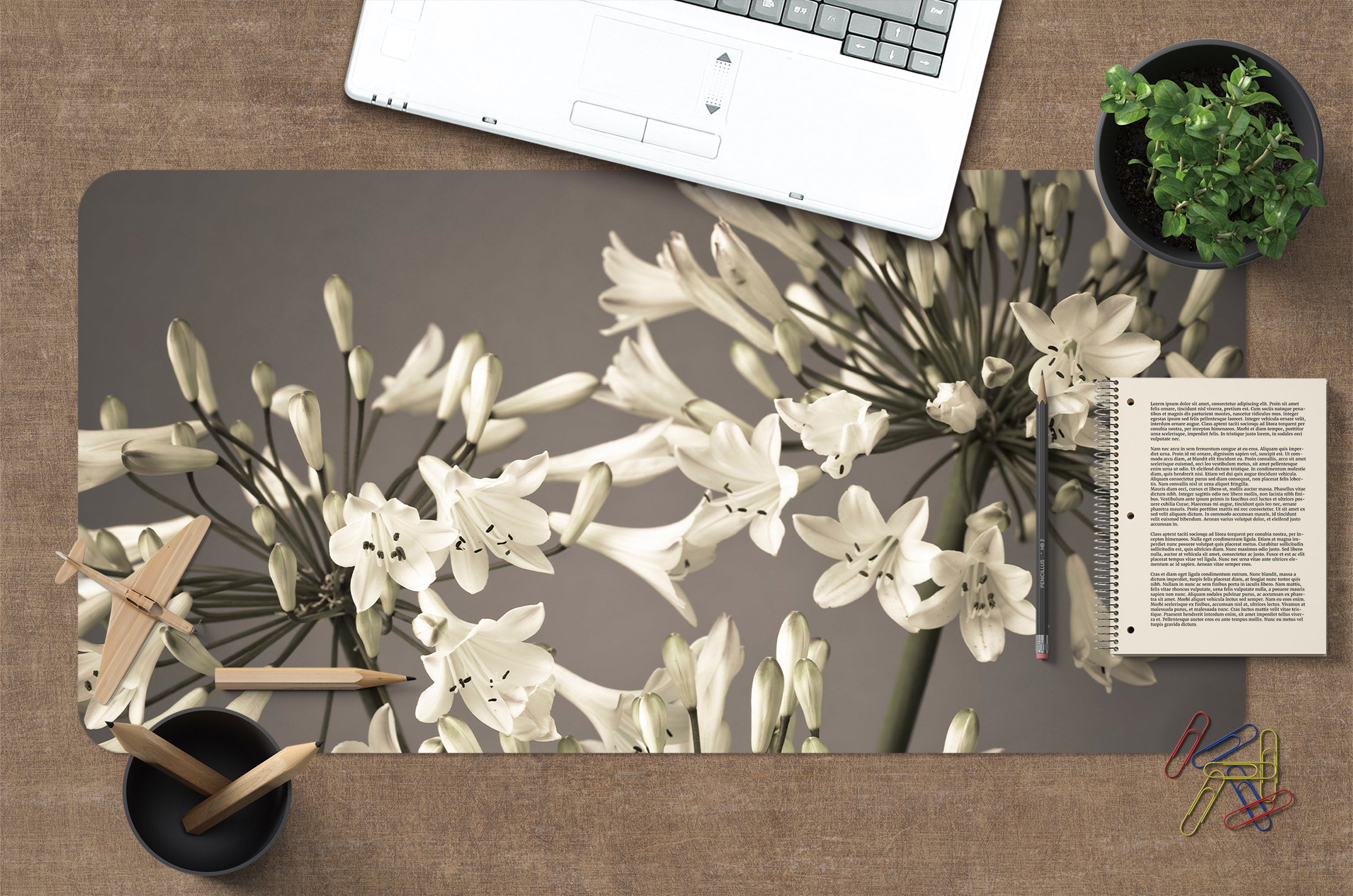 3D Small White Petals 7714 Assaf Frank Desk Mat