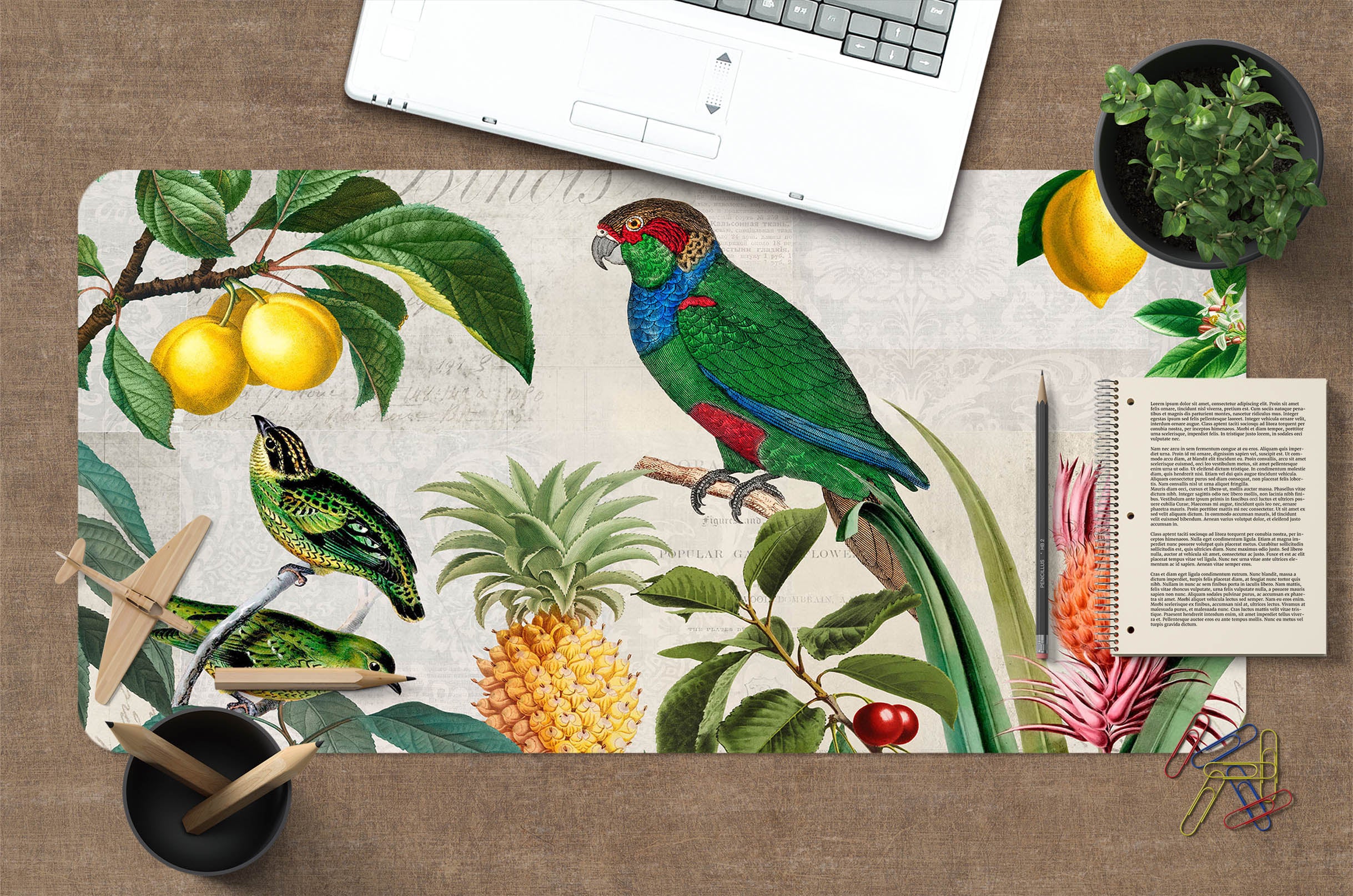 3D Pineapple Parrot 998 Andrea Haase Desk Mat