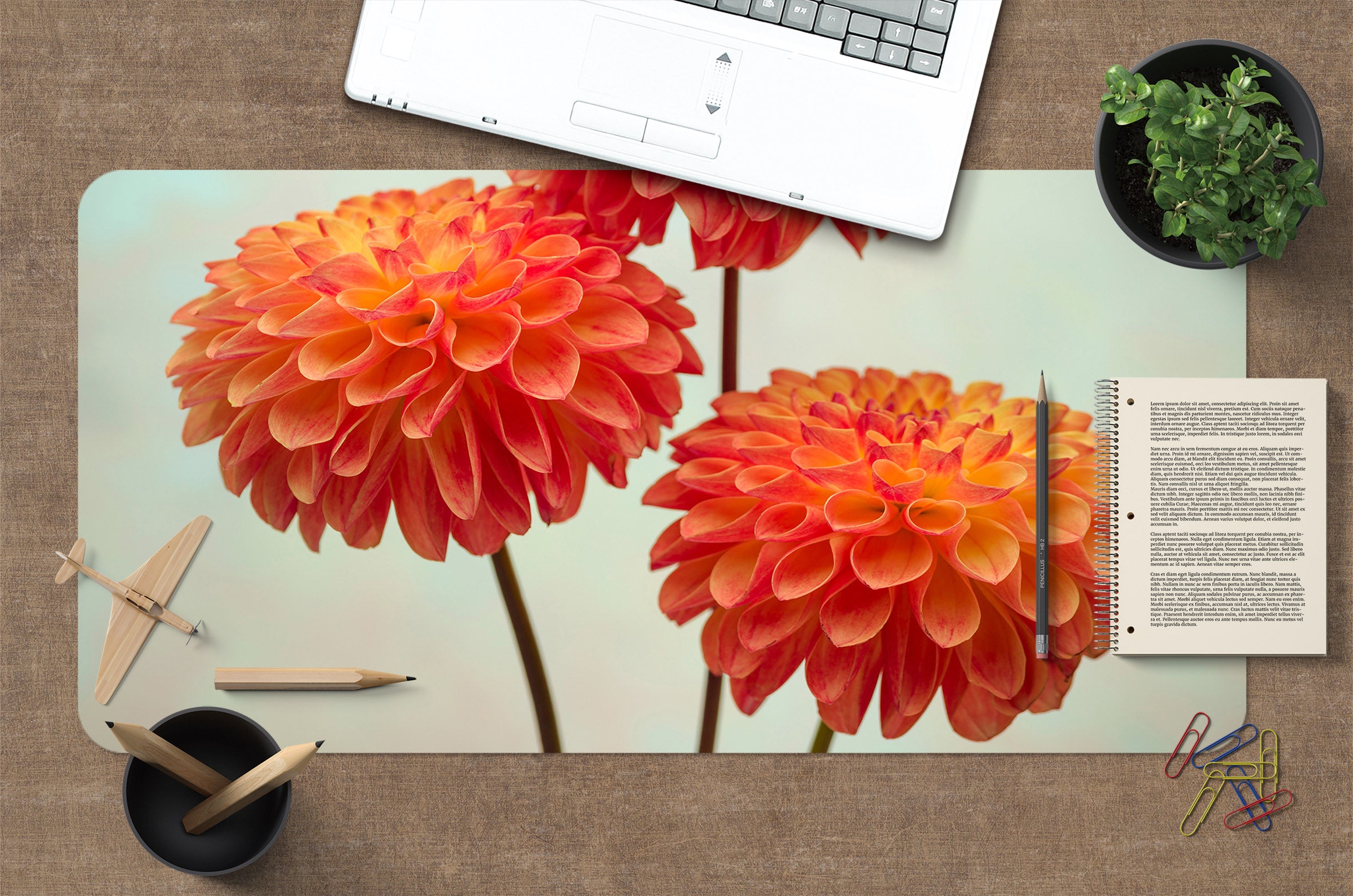 3D Orange Flower 7730 Assaf Frank Desk Mat