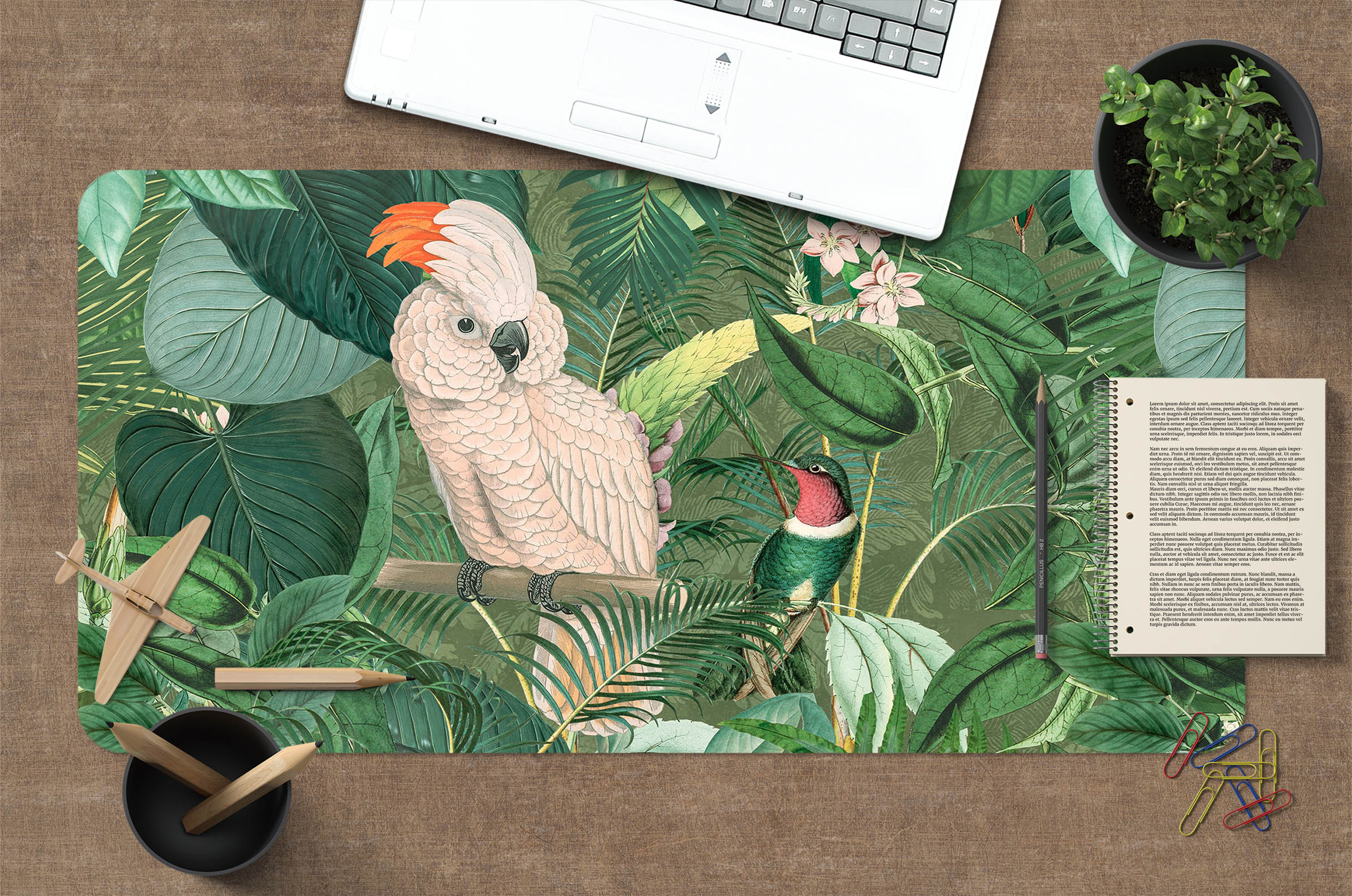 3D White Parrot 5226 Andrea Haase Desk Mat