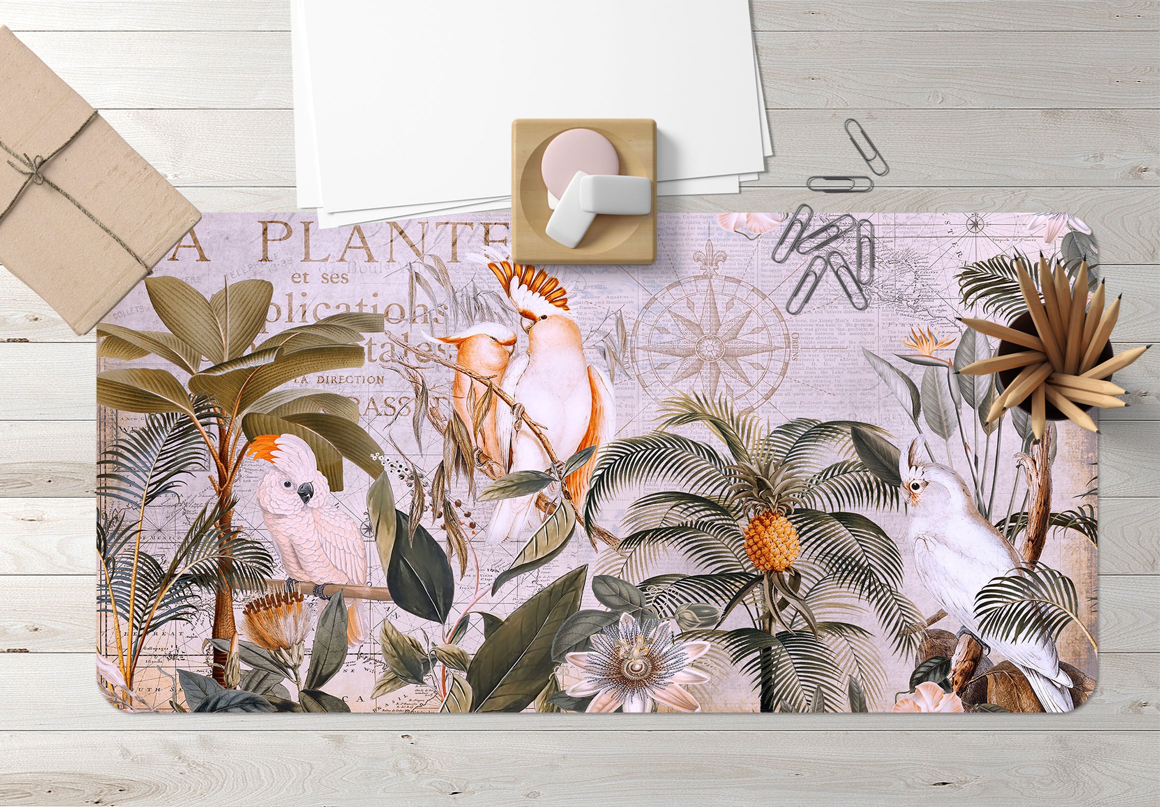 3D Pineapple Parrot 5243 Andrea Haase Desk Mat