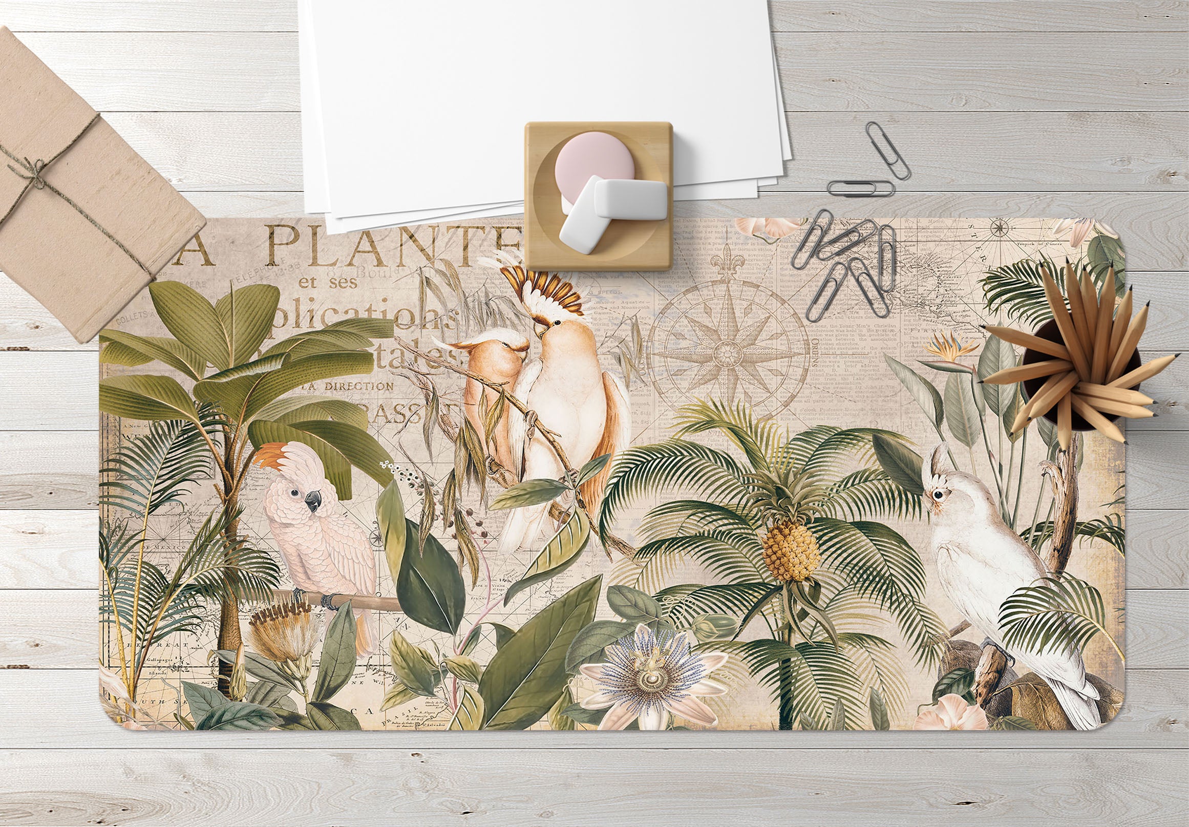 3D Pineapple Tree 5244 Andrea Haase Desk Mat