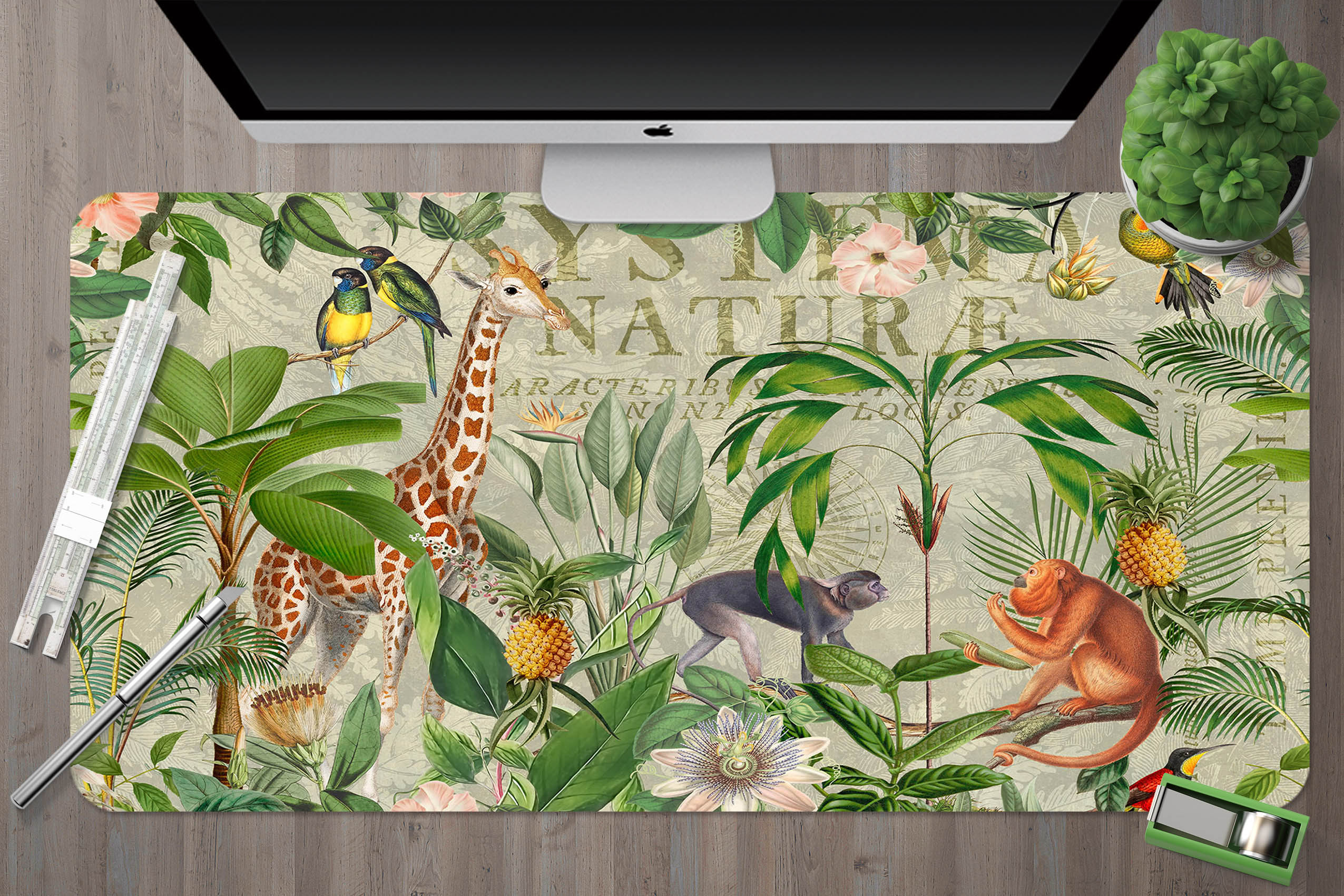 3D Green Tree Monkey 5241 Andrea Haase Desk Mat