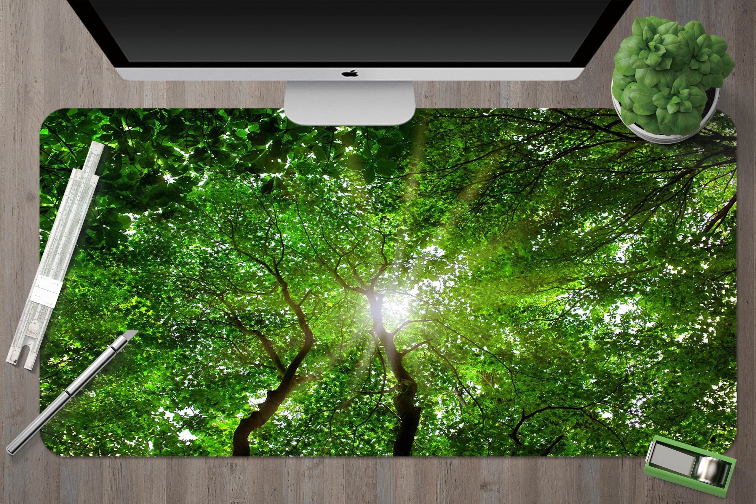 3D Sunny Forest 065 Desk Mat Mat AJ Creativity Home