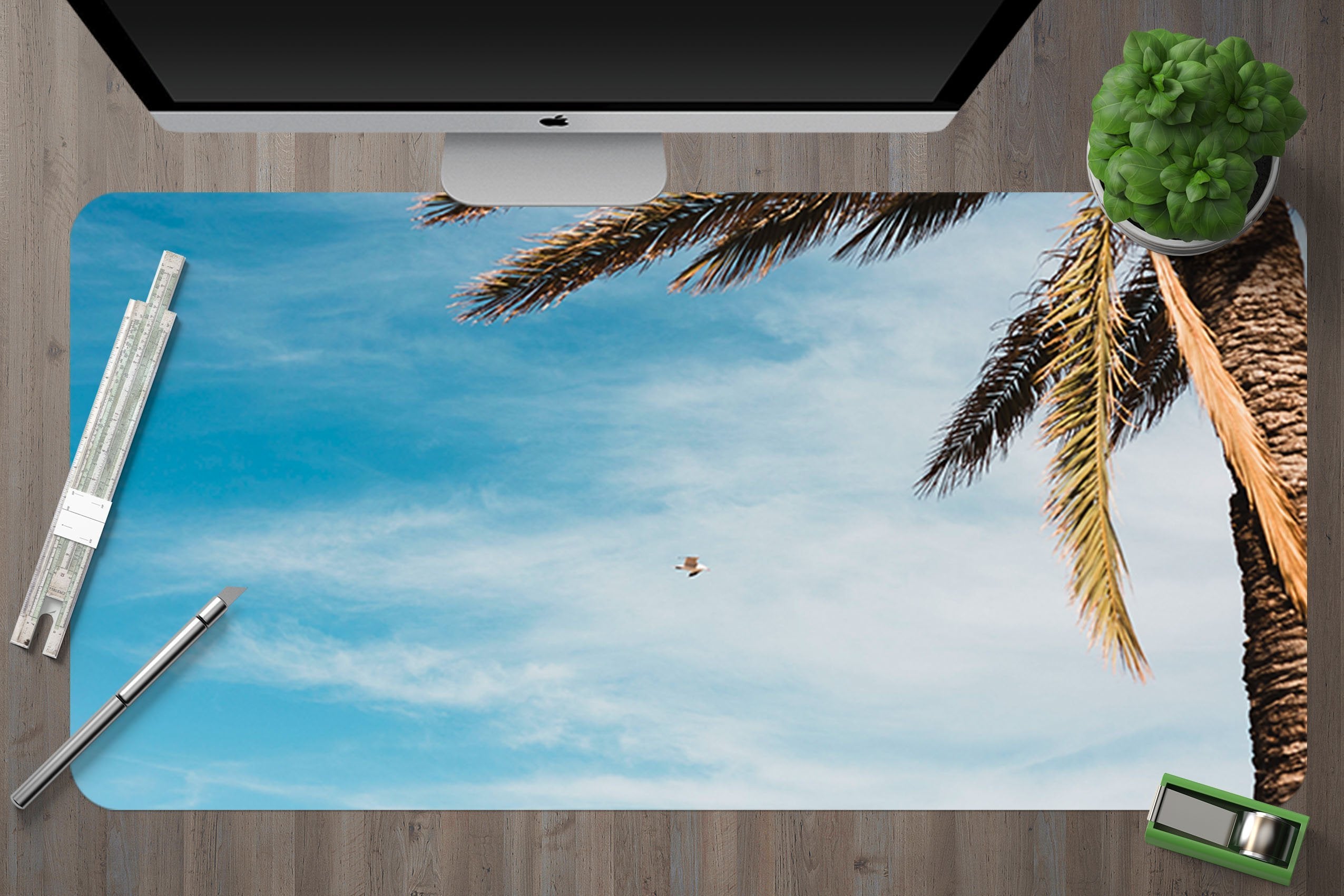 3D Seagull Coconuts 051 Desk Mat Mat AJ Creativity Home