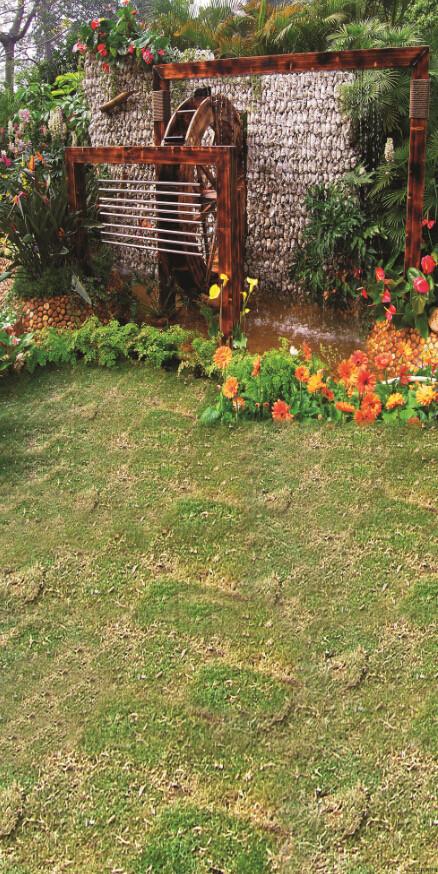 Lawn Scenery Wallpaper AJ Wallpaper