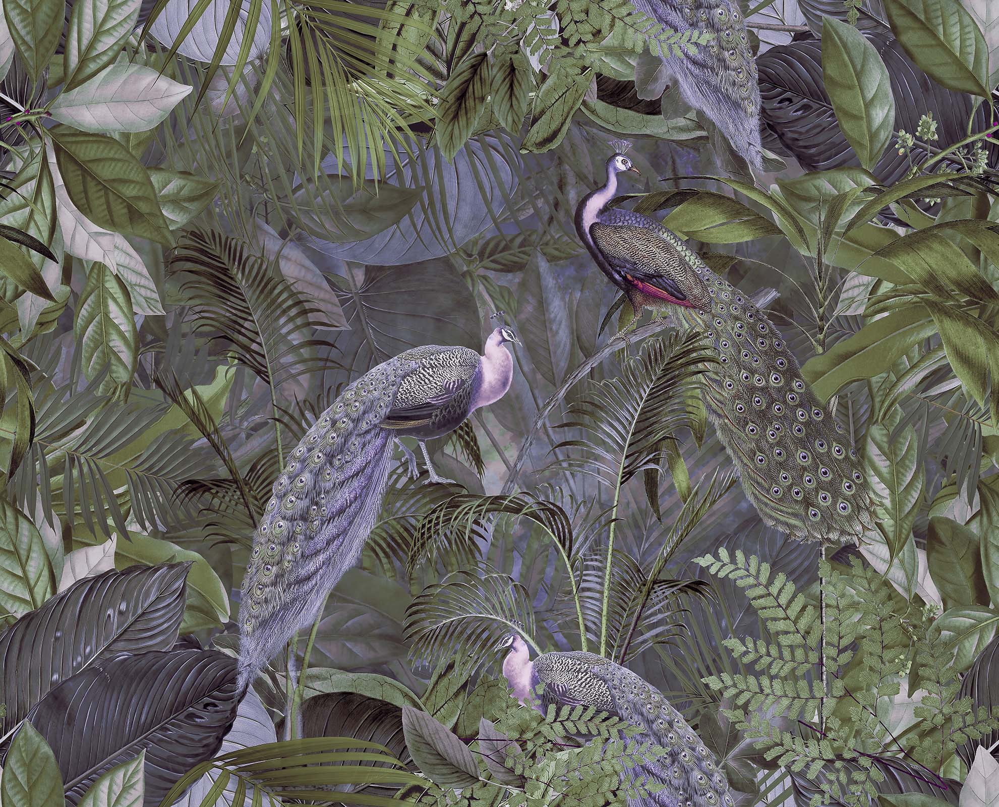 3D Forest Peacock 1012 Andrea haase Wall Mural Wall Murals