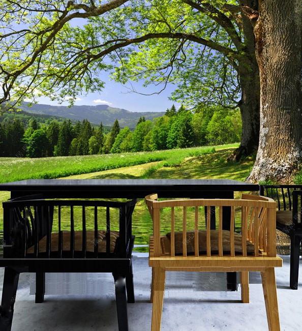 Big Green Trees 5 Wallpaper AJ Wallpaper