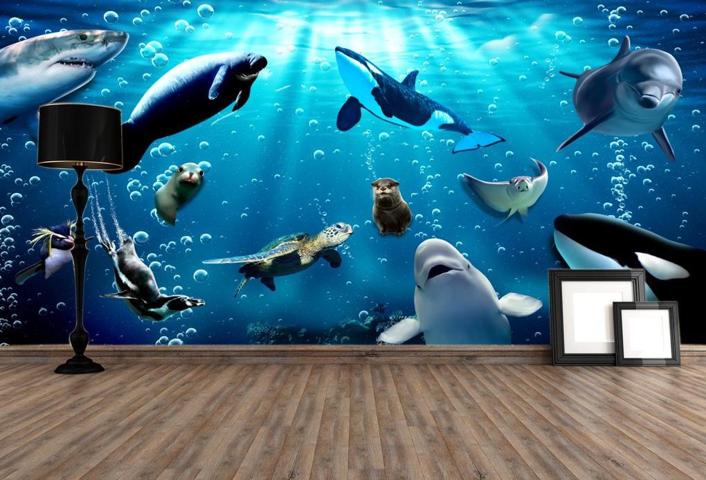 Sea Animals Wallpaper AJ Wallpaper