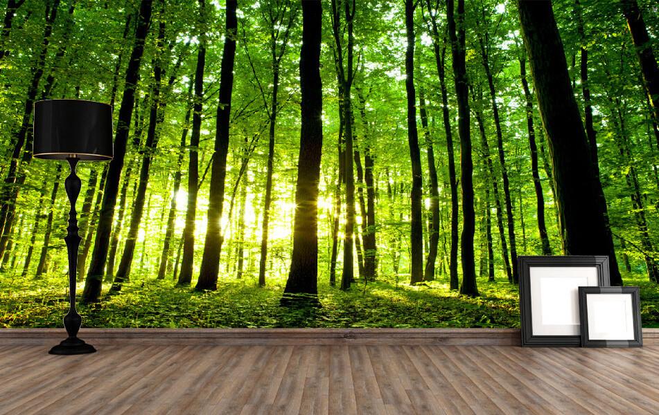 Green Forest 3 Wallpaper AJ Wallpaper