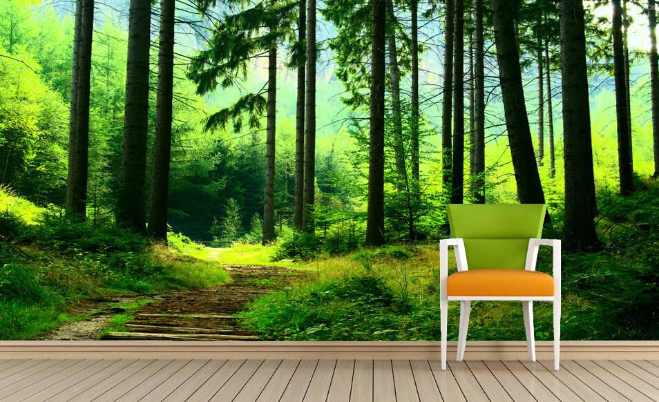 Forest Stone Steps 1 Wallpaper AJ Wallpaper