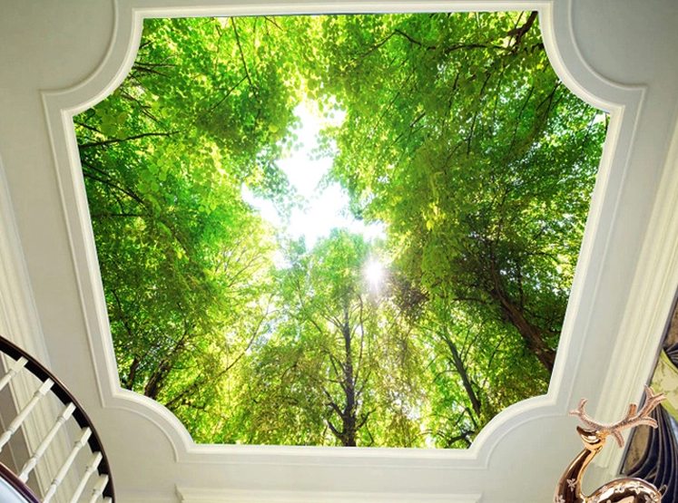 3D Forest Roof Sky Wallpaper AJ Wallpapers