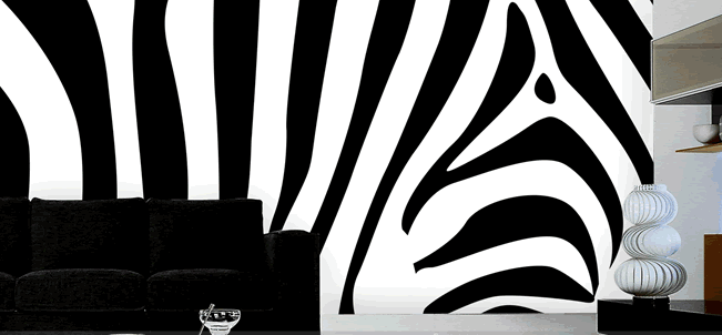 Zebra Stripes Wallpaper AJ Wallpaper