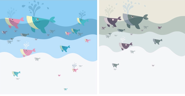 A Group Of Sharks Wallpaper AJ Wallpaper