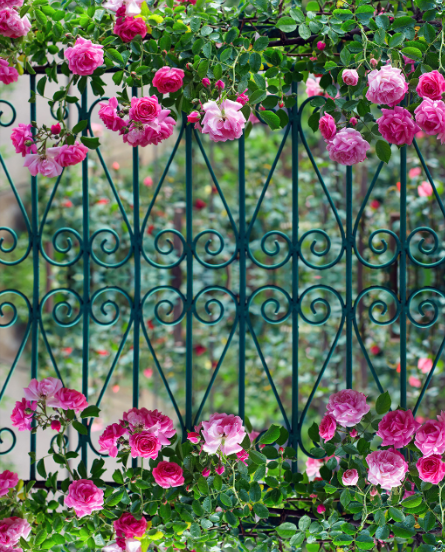 3D Iron Gate Flowers Floor Mural Wallpaper AJ Wallpaper 2