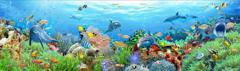 Colorful Ocean Bottom Wallpaper AJ Wallpaper 2