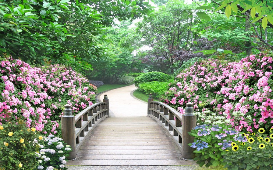 Beautiful Green Garden Wallpaper AJ Wallpaper 2