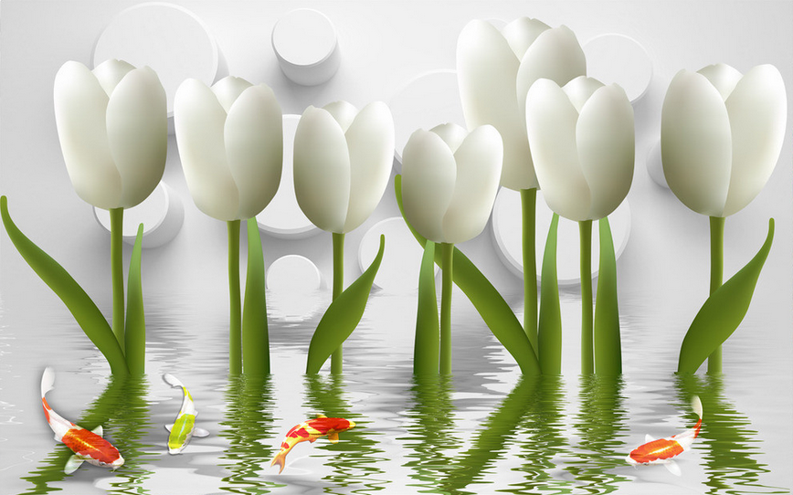 Fresh White Tulips Wallpaper AJ Wallpaper