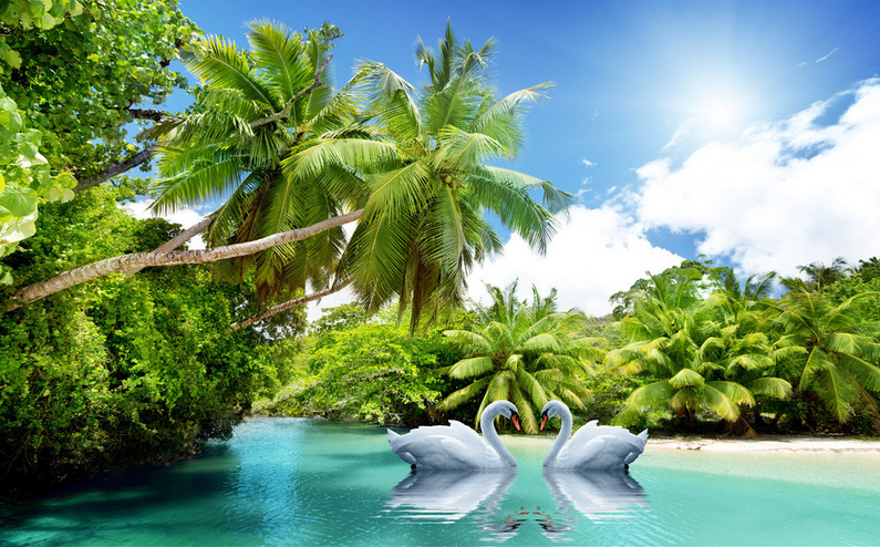 Coconut Forest Wallpaper AJ Wallpaper