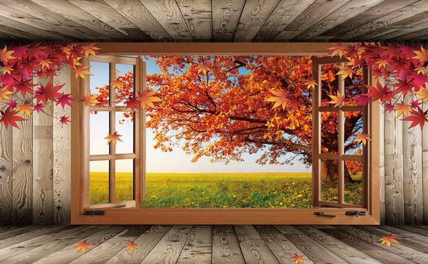Wood Window And Tree Wallpaper AJ Wallpaper