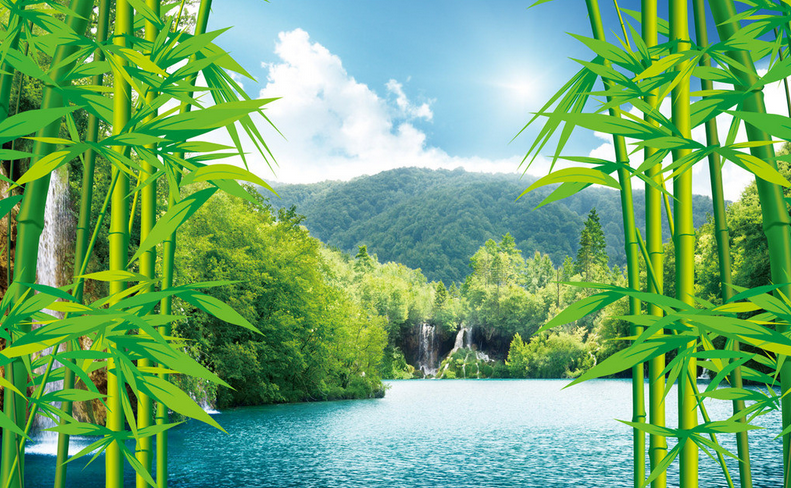 Bamboos And Lake Wallpaper AJ Wallpaper